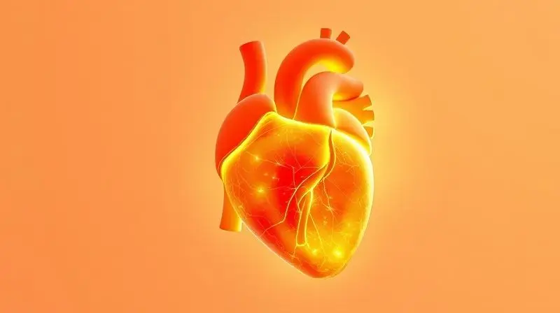 Coração humano saudável com uma aura de energia, representando os benefícios da Coenzima Q10 para a saúde cardiovascular e vitalidade.
